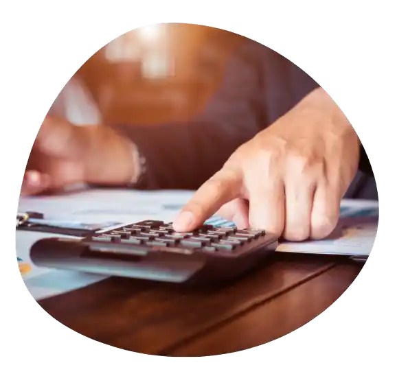 Accounting software solution services