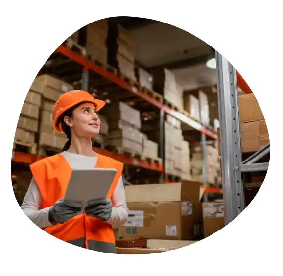 Supply chain web solution software