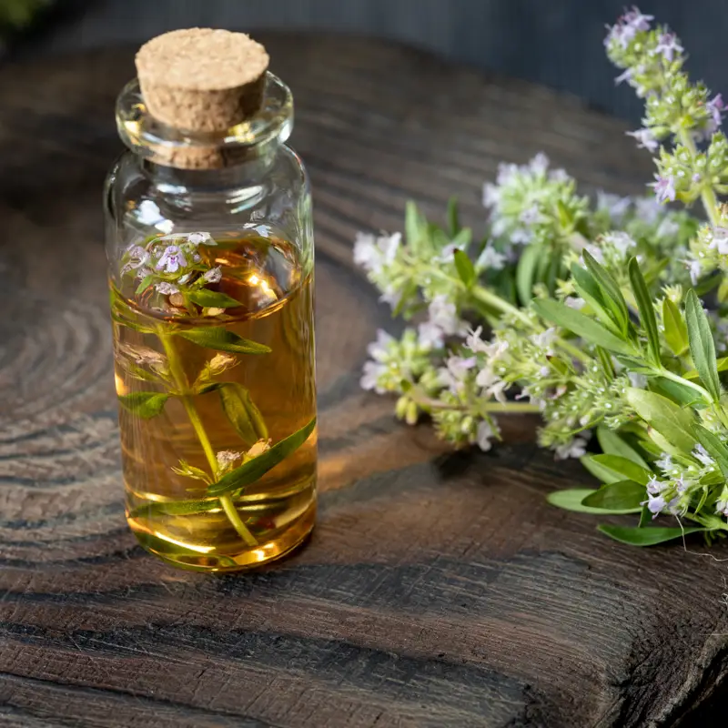 Thyme Oil