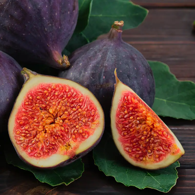 Fig Seeds