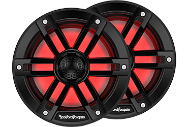 Rockford Fosgate M1-65