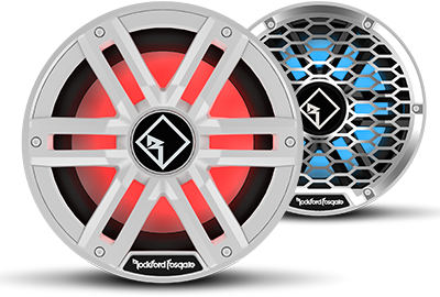 Rockford Fosgate M2D4-10I