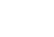 Decorative vector