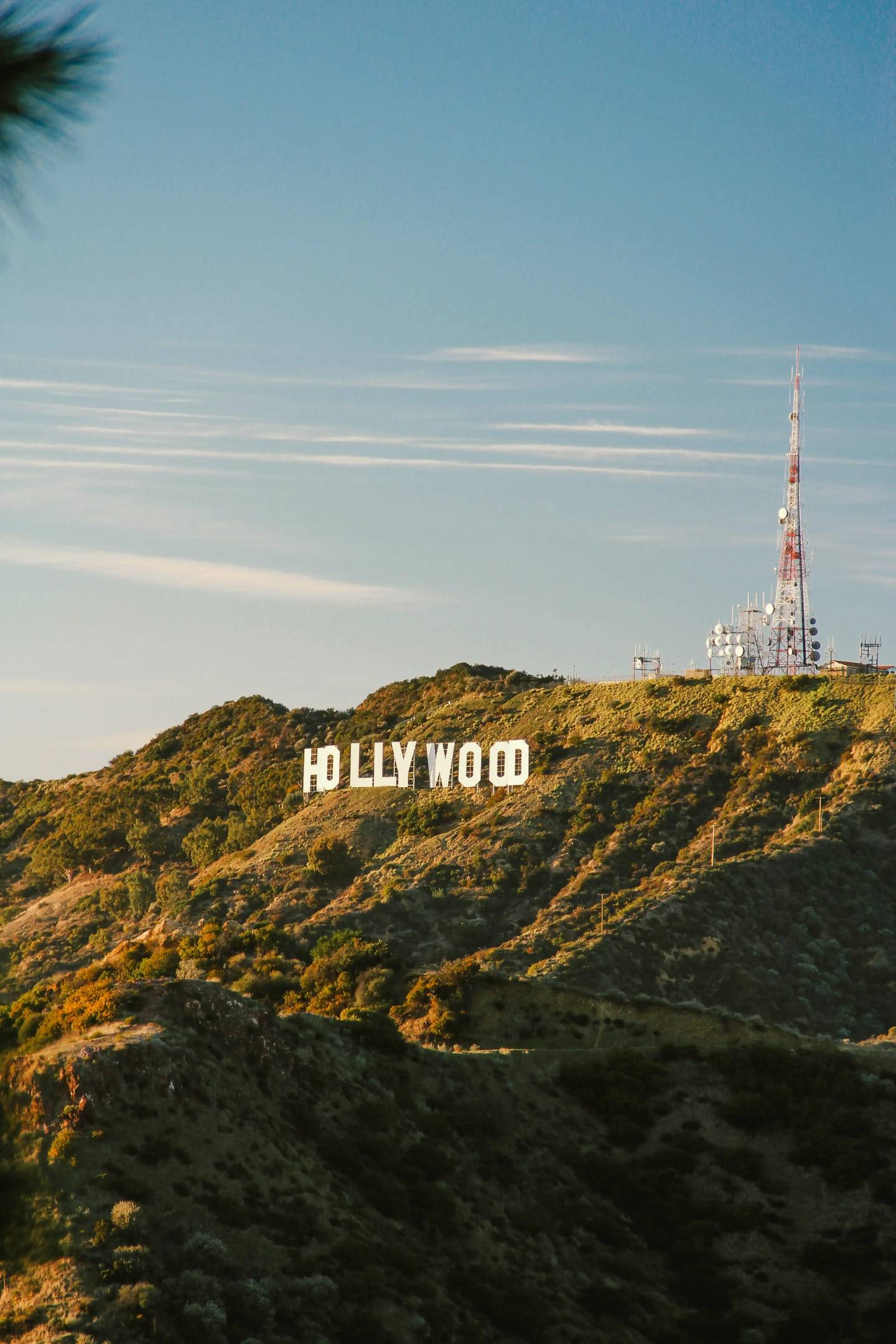 Hollywood hero image