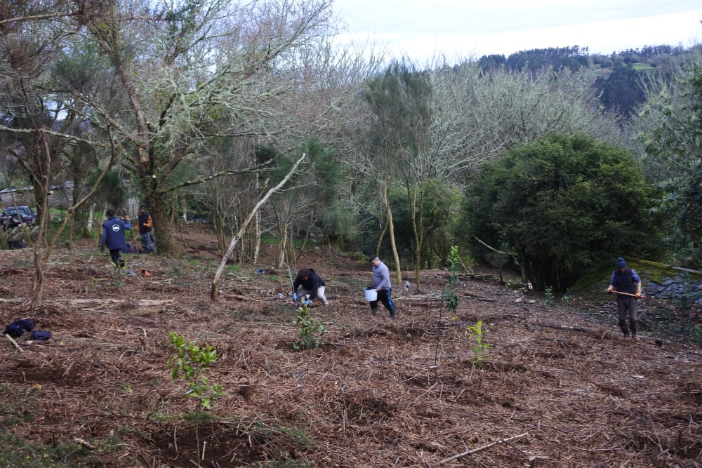 Projeto Dispersor e Estacion Agroecologica de Viveiro