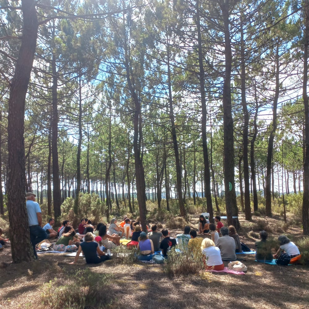 Festival da Terra (2023 - 2025)