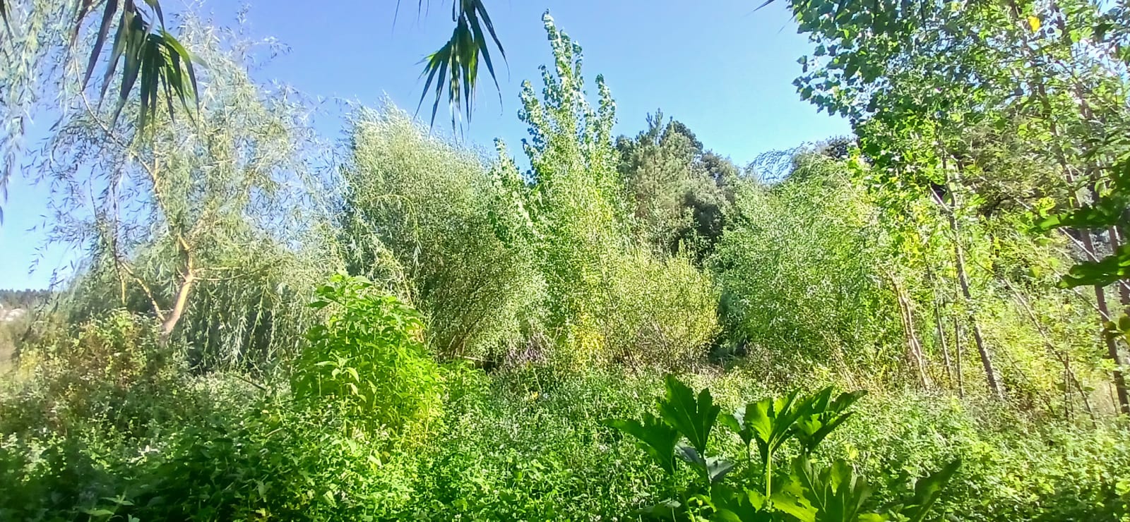 Vale da Corga - doBosque Projeto