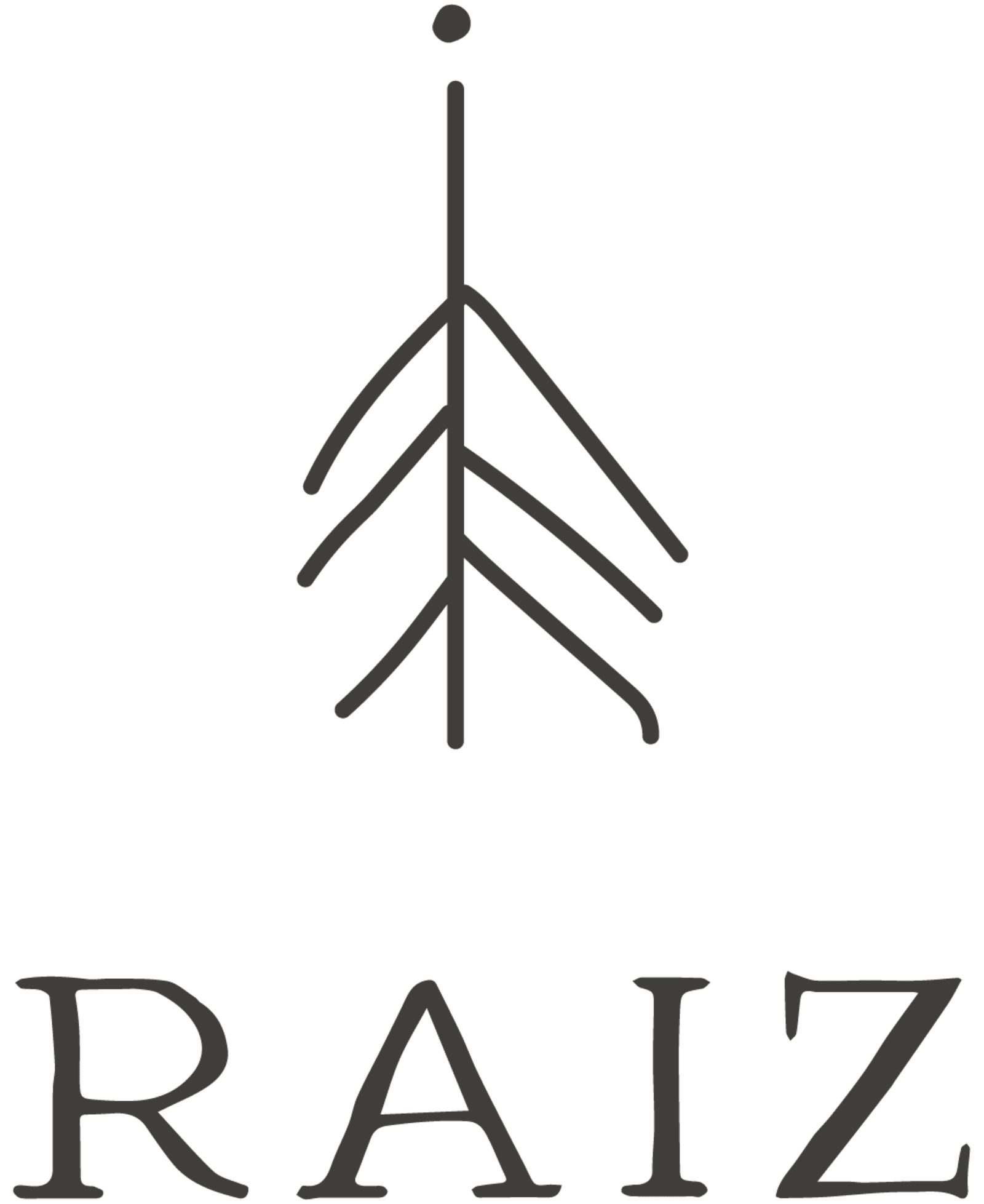 Logótipo Raiz - Comunidade de aprendizagem