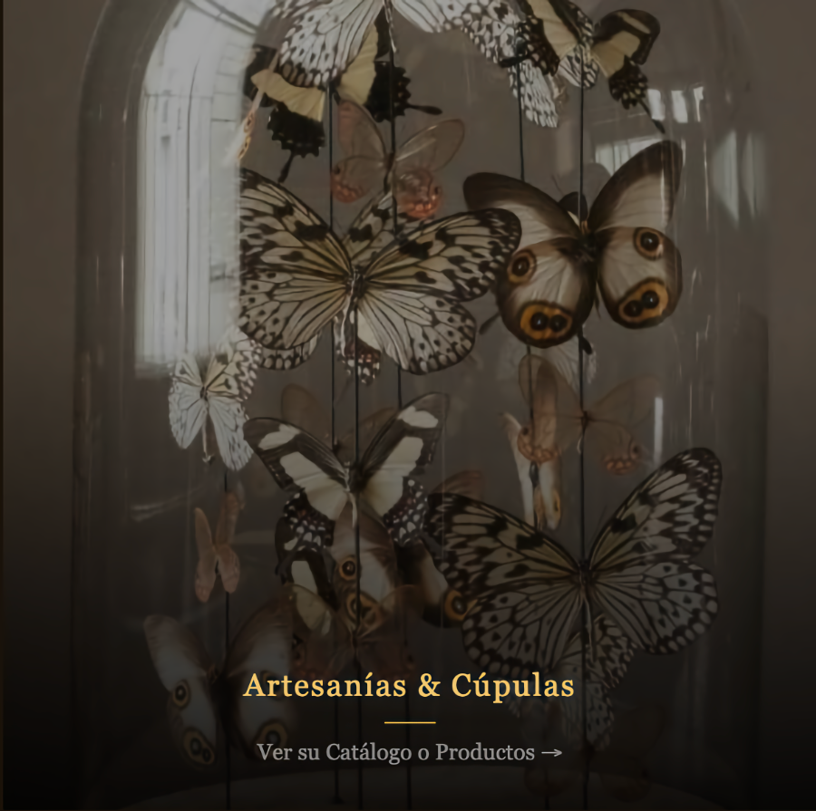 Artesanías & Cúpulas