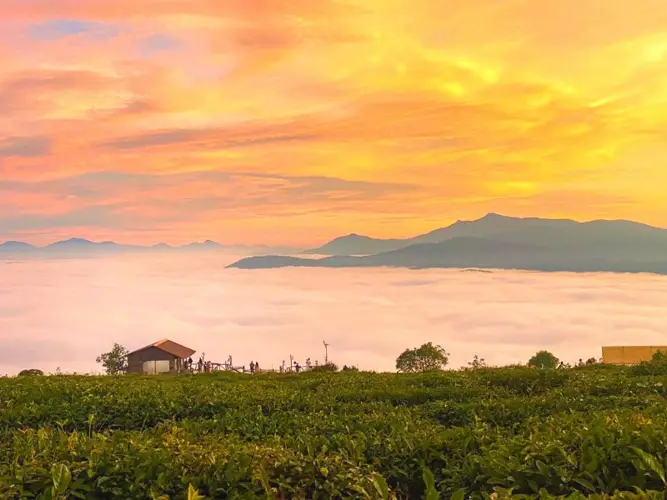Đánh giá Tour Đà Lạt 3 Ngày 3 Đêm Săn Mây