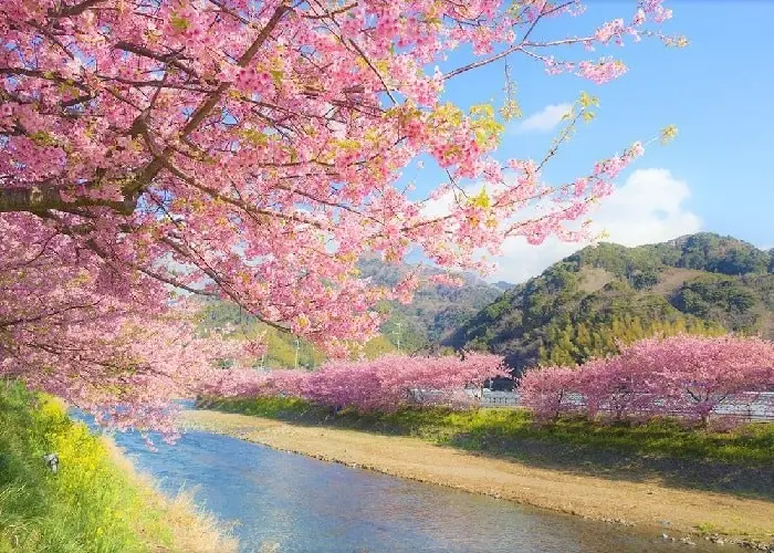 So sánh Nhật Bản và Hàn Quốc, nơi nào đáng để người Việt Nam đi du lịch hơn So sánh Nhật Bản và Hàn Quốc, nơi nào đáng để người Việt Nam đi du lịch hơn