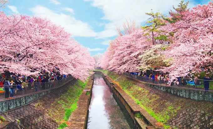 So sánh Nhật Bản và Hàn Quốc, nơi nào đáng để người Việt Nam đi du lịch hơn So sánh Nhật Bản và Hàn Quốc, nơi nào đáng để người Việt Nam đi du lịch hơn