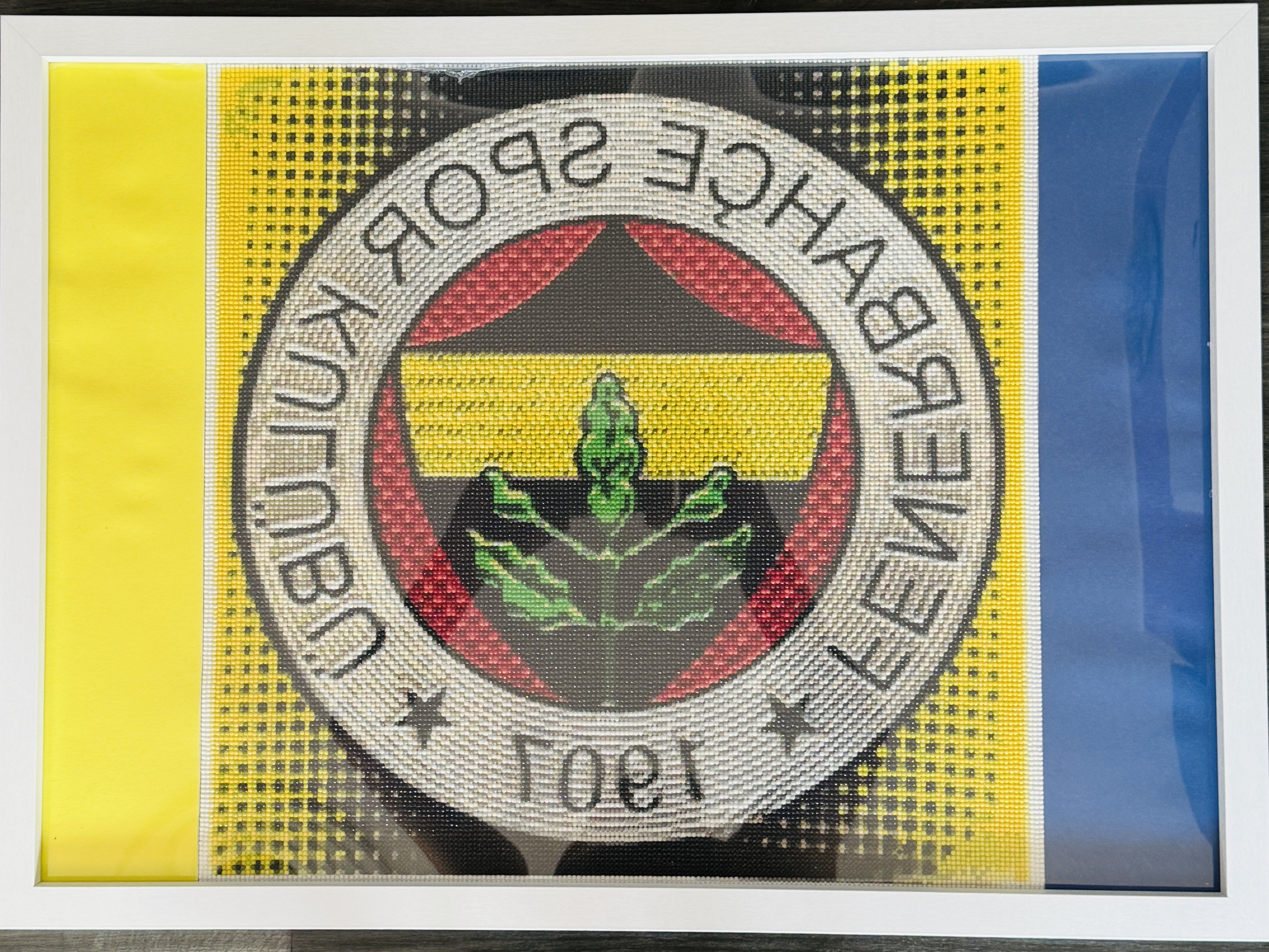 Fenerbahçe Spor Kulübü