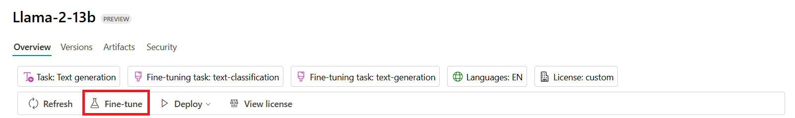 Model fine-tuning process