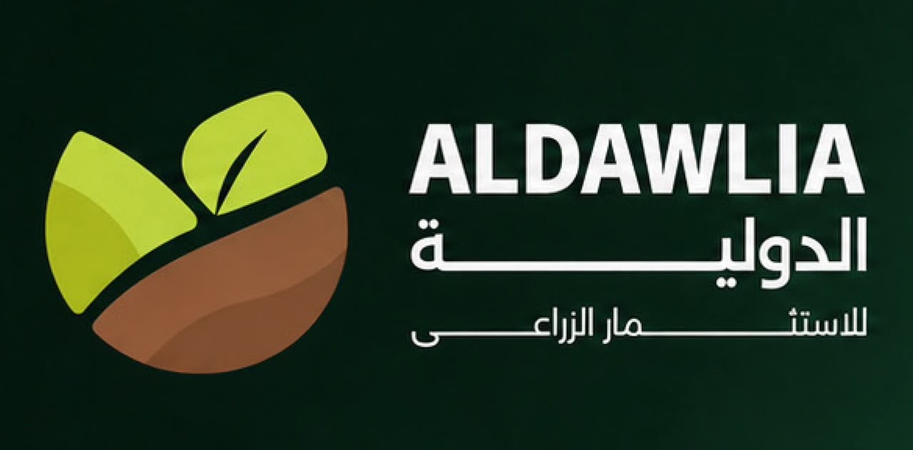 الدولية