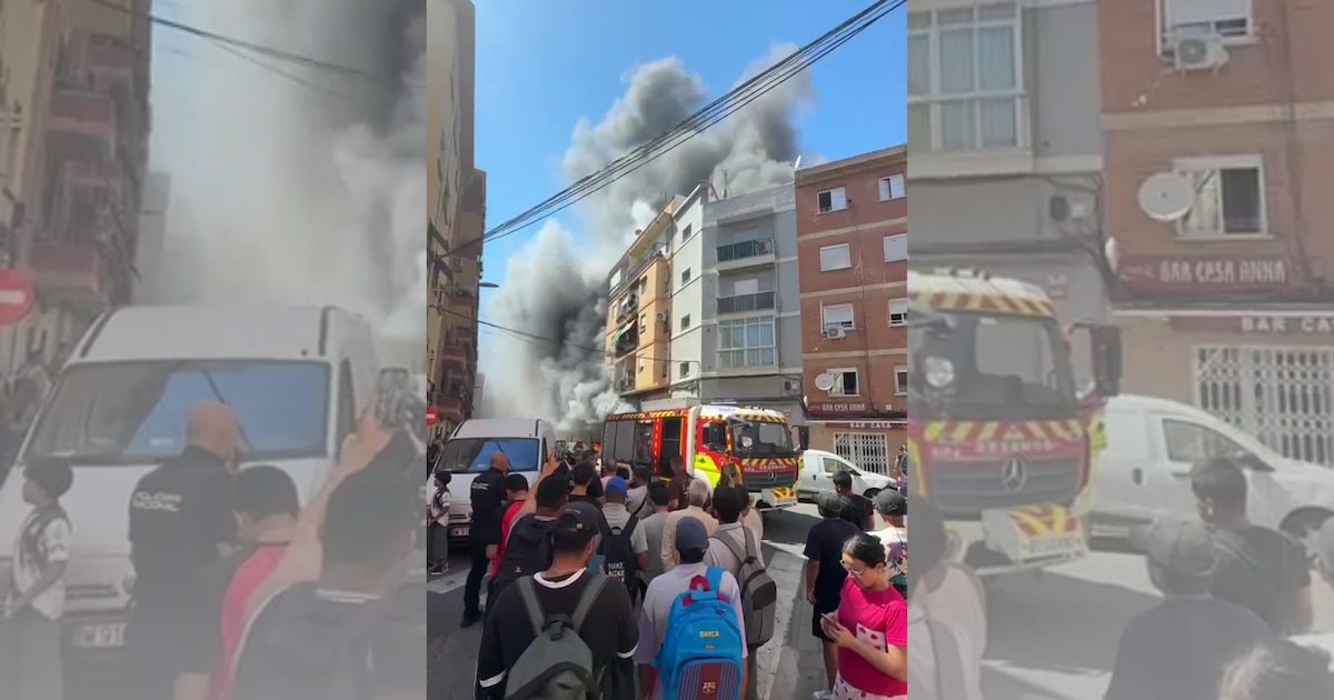 Imagen de la noticia