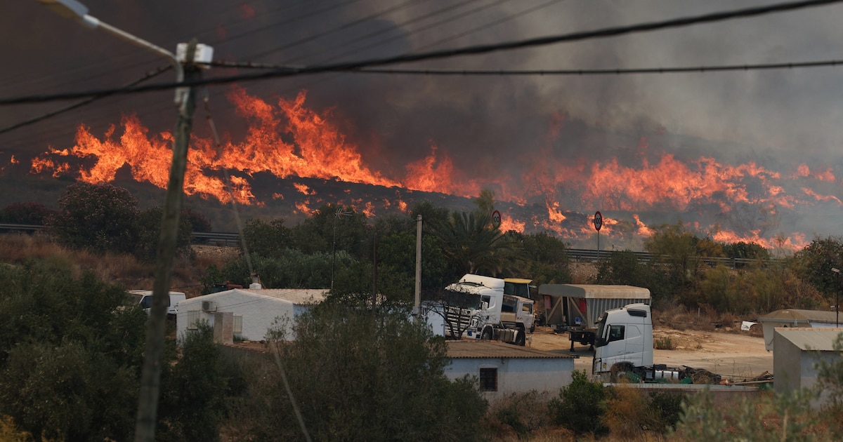 Imagen de la noticia