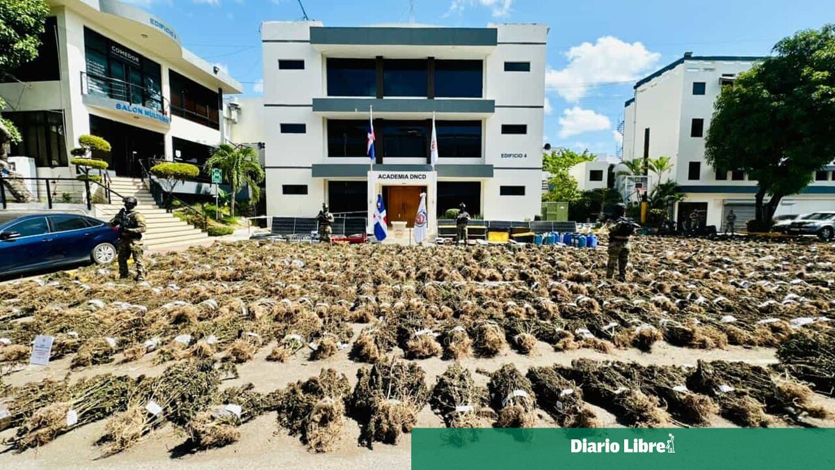 Imagen de la noticia