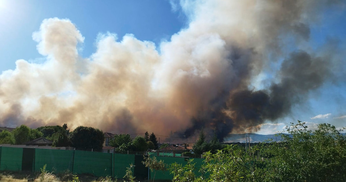 Imagen de la noticia