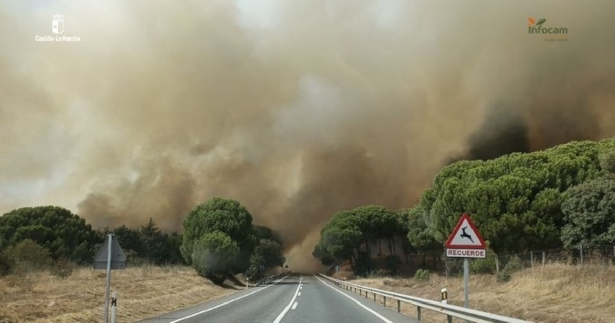Imagen de la noticia