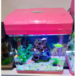 Aquariophilie