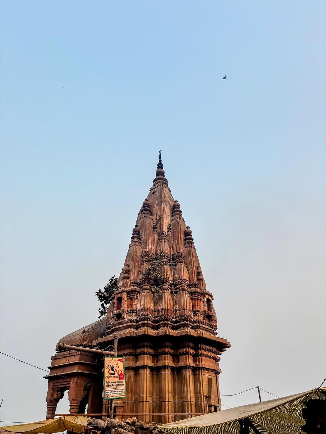 India Arts, Culture & Performing Arts Tour