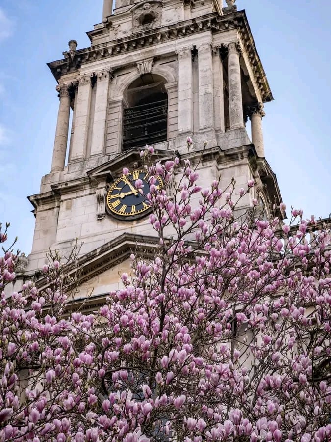 London STEM & University Discovery Tour