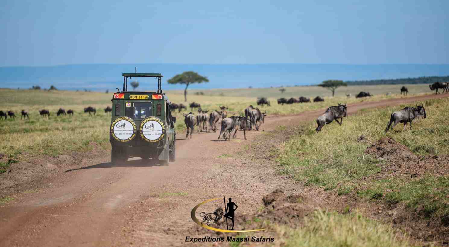 Maasai Mara 3-day tour