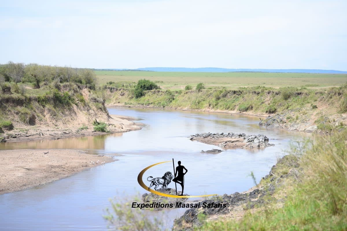 Additional gallery image - Mara River