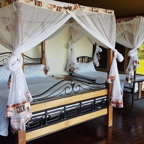 Additional gallery image - Accommodation at Simba + Oryx