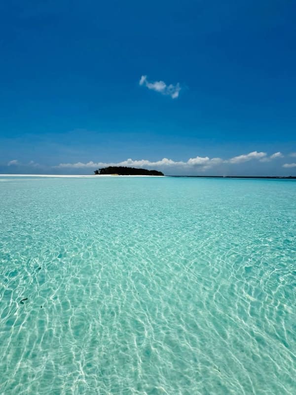 Additional gallery image - Zanzibarâs quiet masterpiece