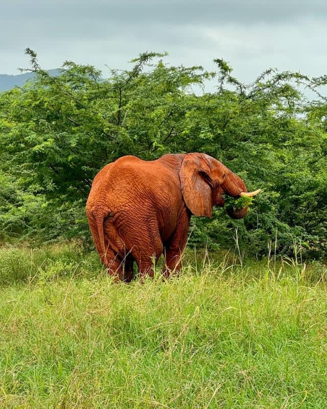 Additional gallery image - -82899340