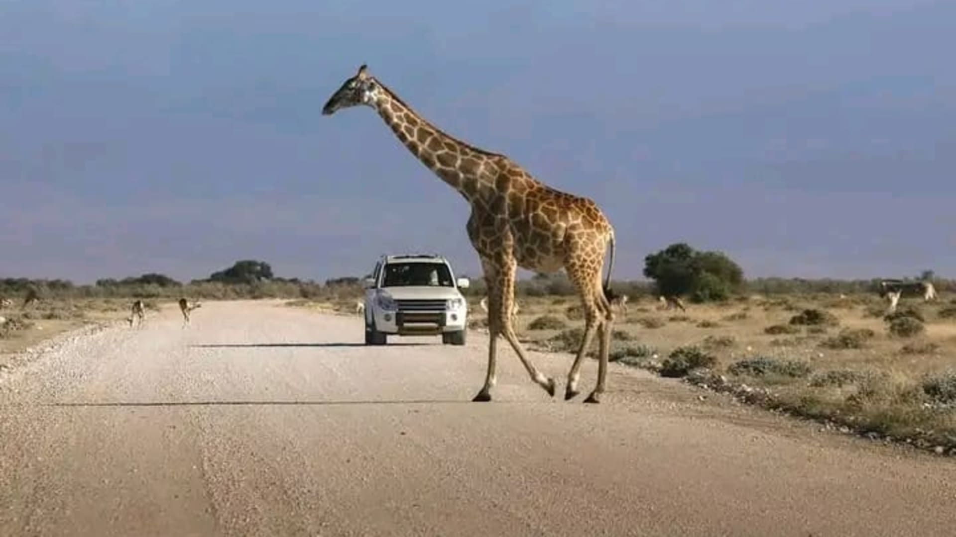 3 Days Amboseli Christmas Safari Packages - Main Image