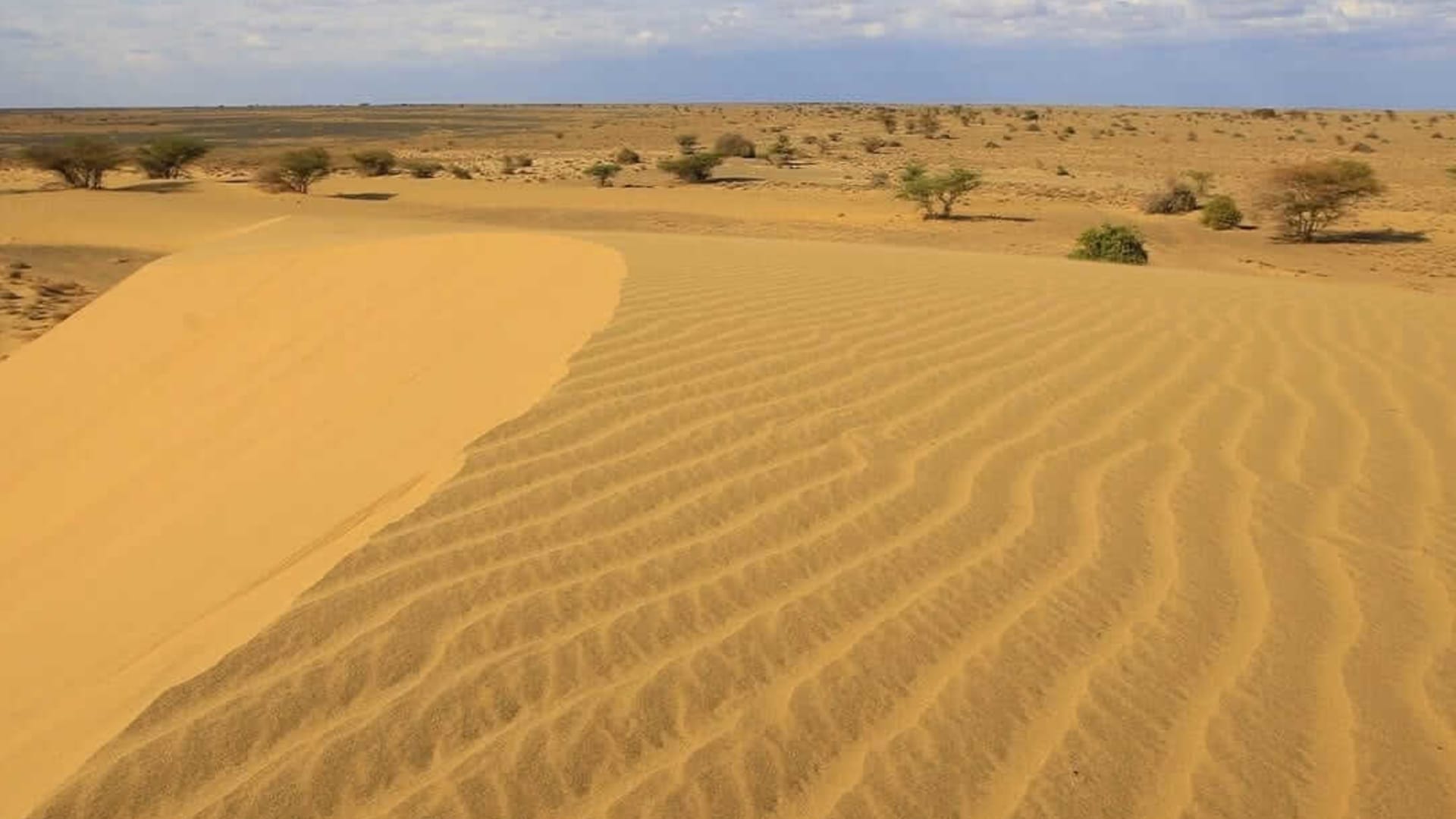 5 Days Chalbi Desert Safari Package from Nairobi, All You Need to Know - Main Image