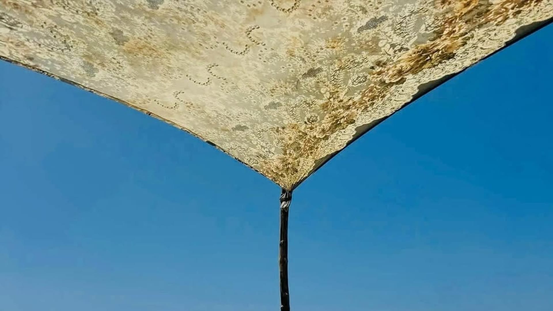 4 Days Zanzibar Holiday Packages - Main Image