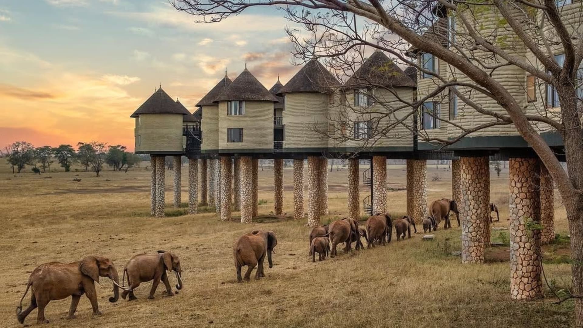 Salt Lick Safari Lodge 2 Days Safari Getaway - Image