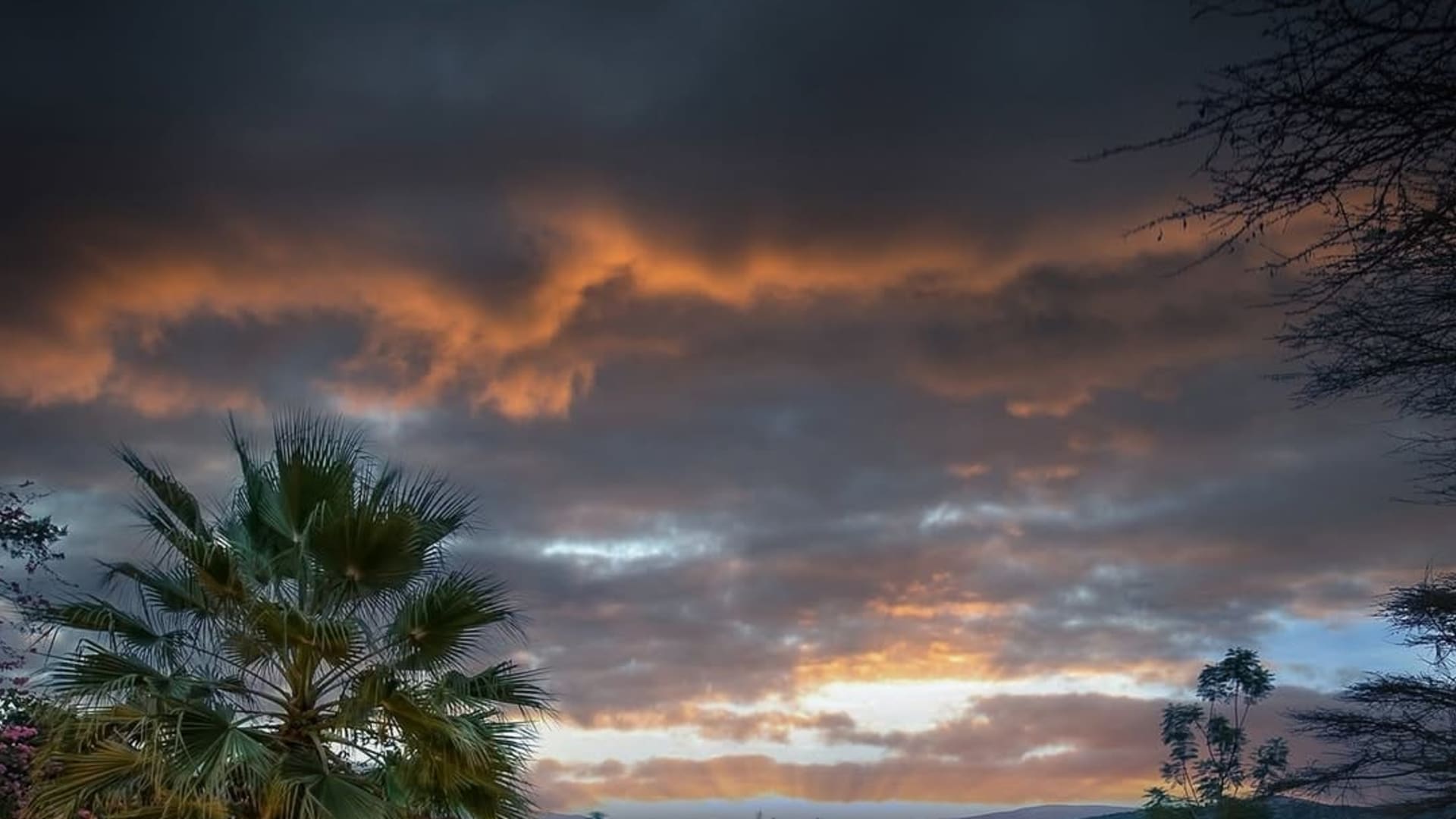 3 Days Group Joining Safari to Maasai Mara Sopa Lodge - Image