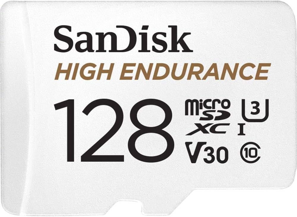 Vue 1 de Sandisk Go High Endurance
