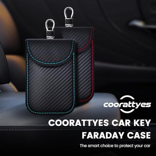 Vue 7 de Coorattyes Faraday Lot De