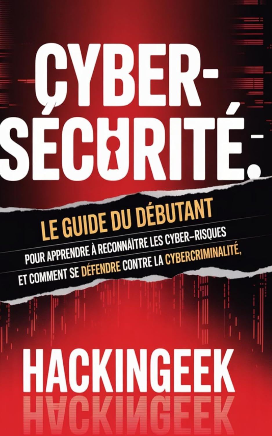 Vue 4 de La Cybersecurite Pour Les