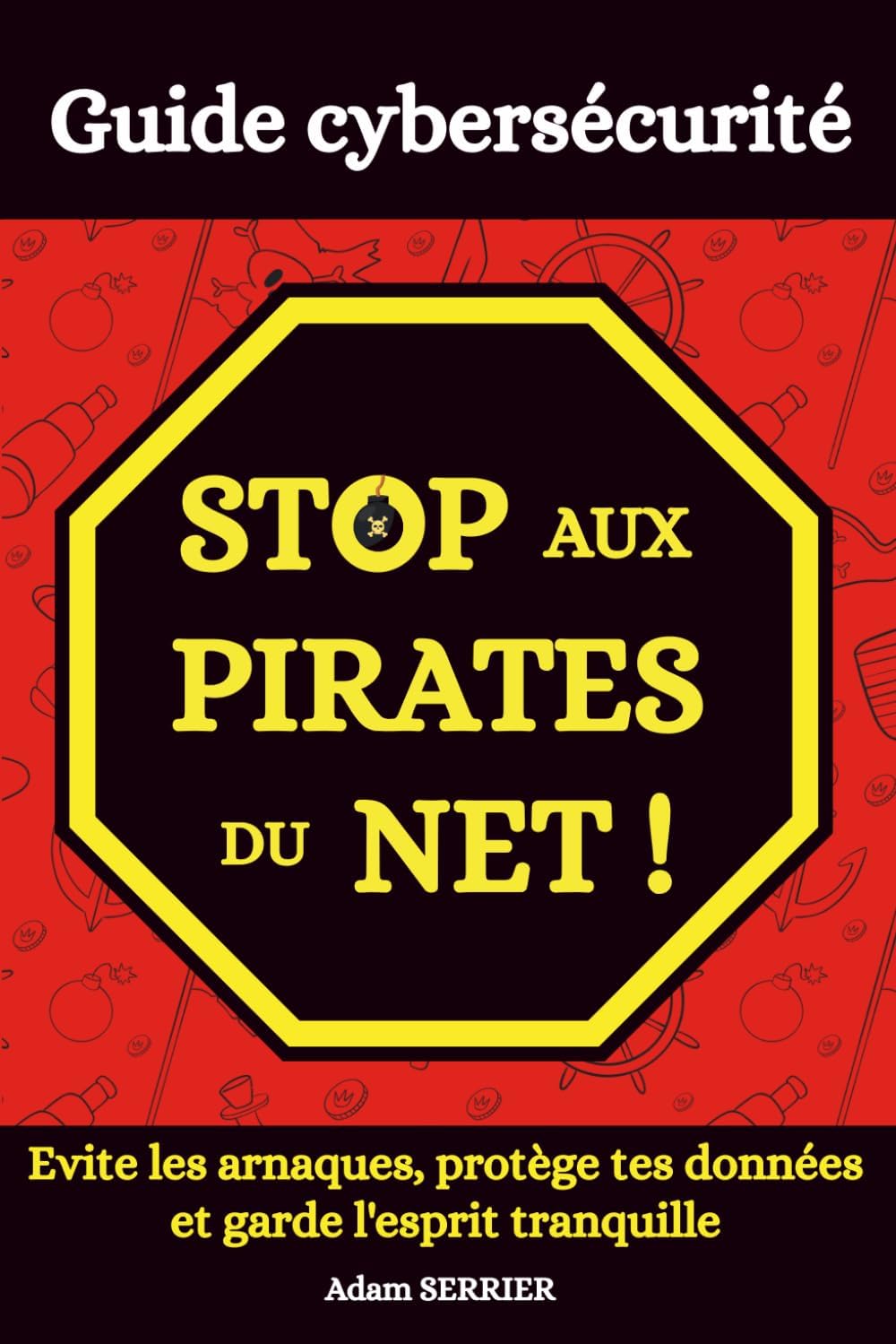 Vue 5 de La Cybersecurite Pour Les