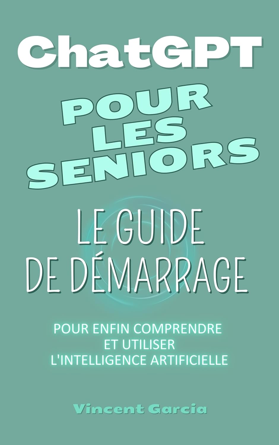 Vue 5 de Hacking Pour Debutant Le