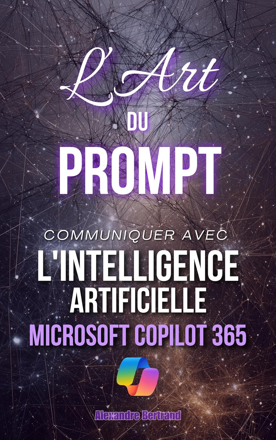 Vue 7 de Hacking Pour Debutant Le