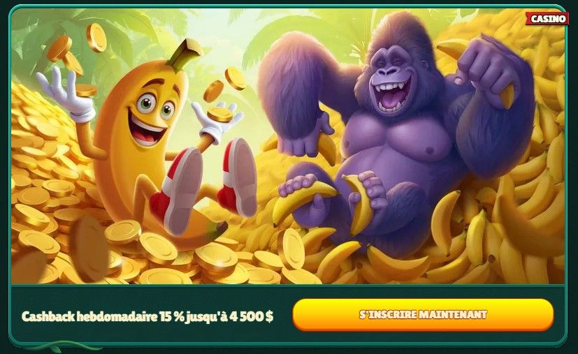 gokong cashback hebdomadaire.jpg