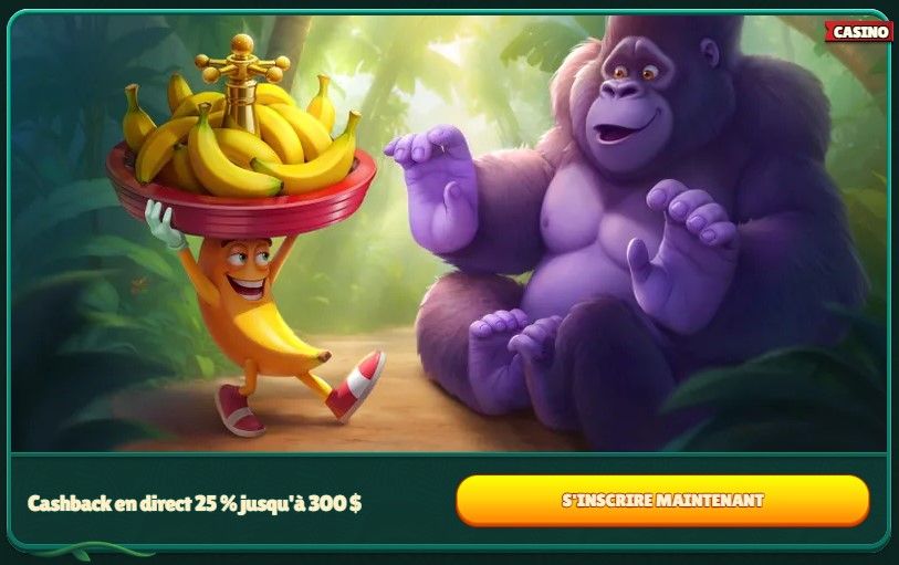 gokong cashback en direct hebdomadaire.jpg