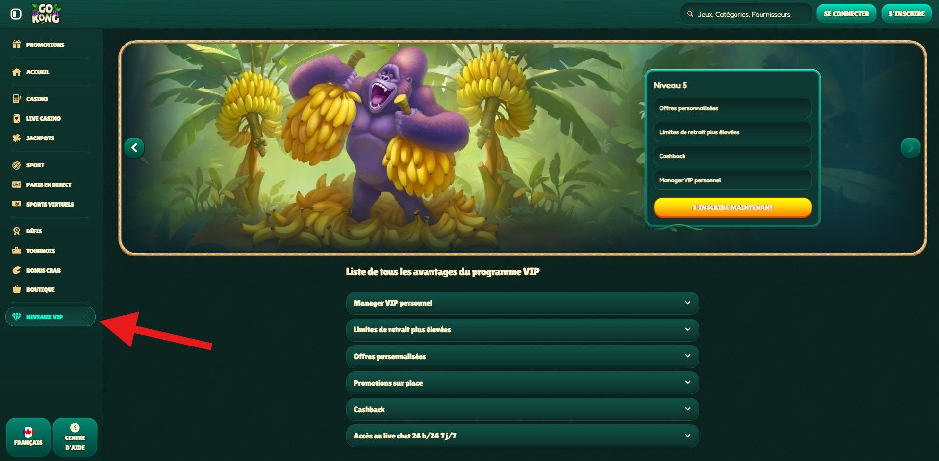 gokong programme vip.jpg