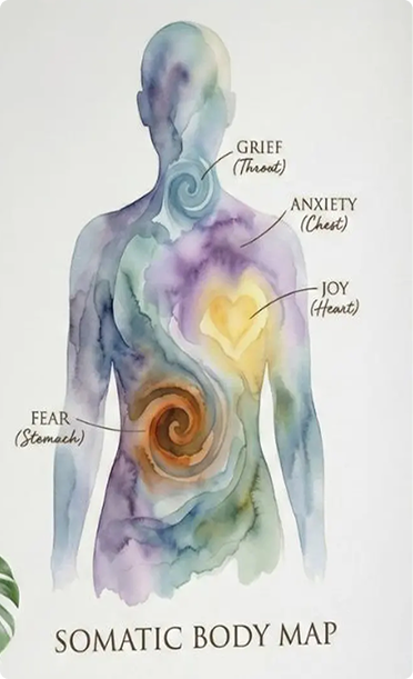 Somatic Body Map - Grief (Throat), Anxiety (Chest), Joy (Heart), Fear (Stomach)