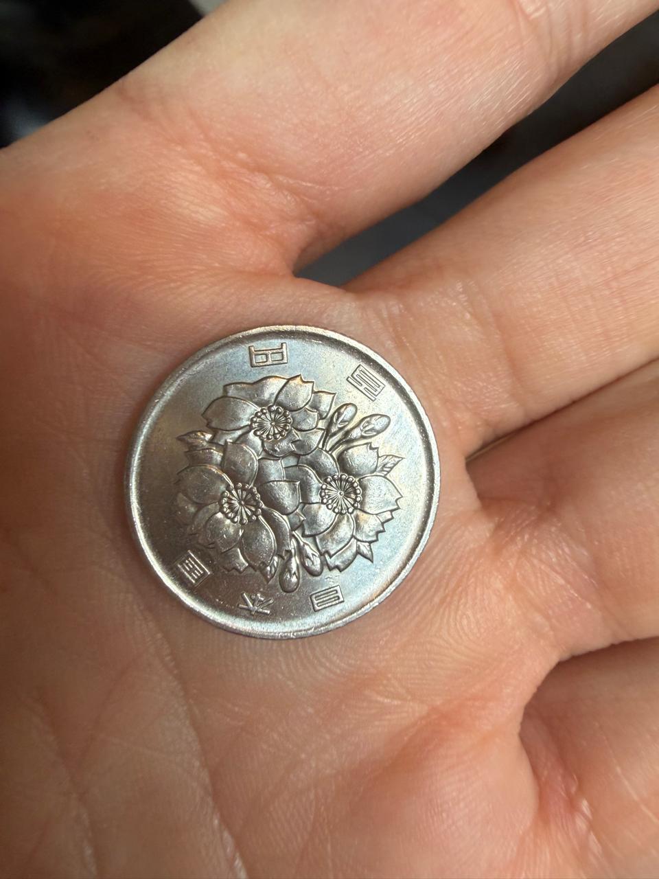 The Day a Coin Taught Me to Trust the Path