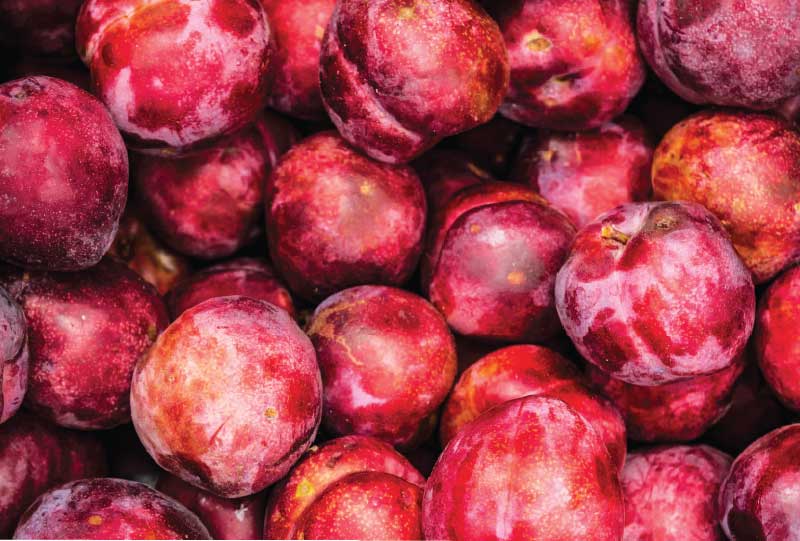 ciruelas