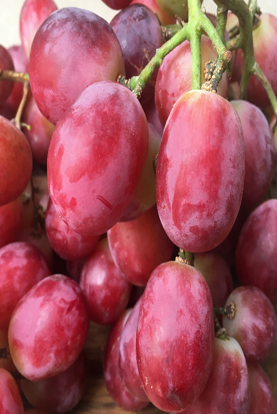 uvas